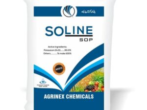 SOLINE