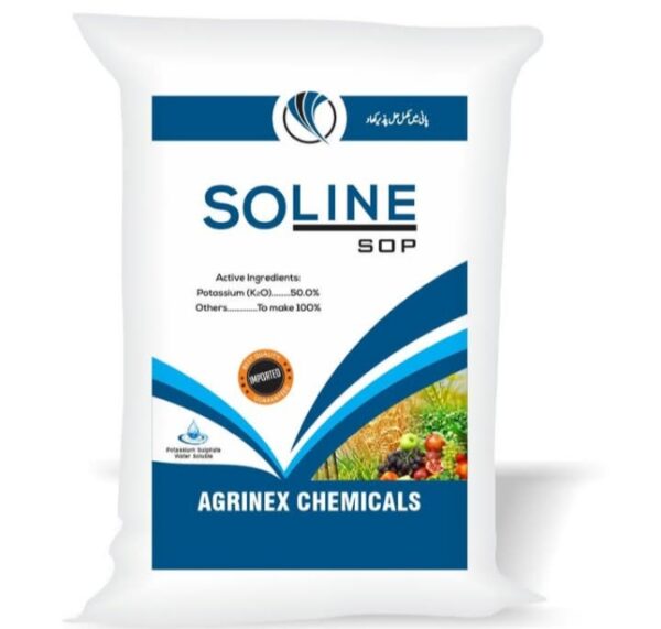 SOLINE