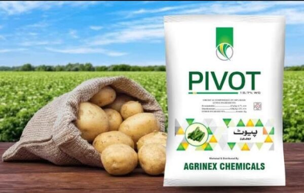 PIVOT