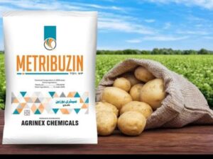 METRIBUZIN