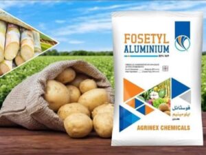FOSETYL