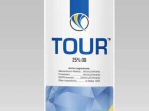 TOUR