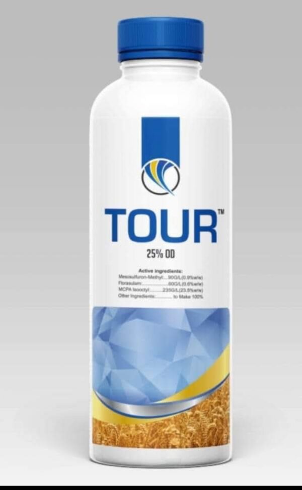 TOUR